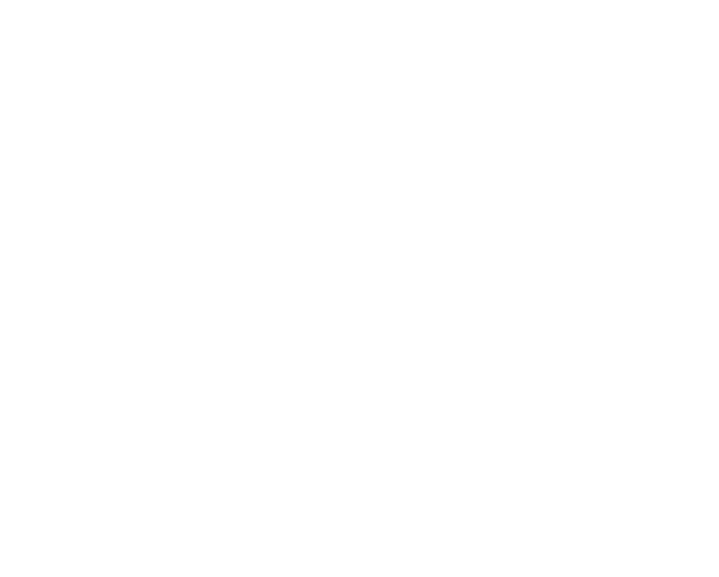 Violin Cocoon Vienna JA
